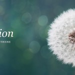 13311439880-2rkwjh9xc0utv257fojaiy