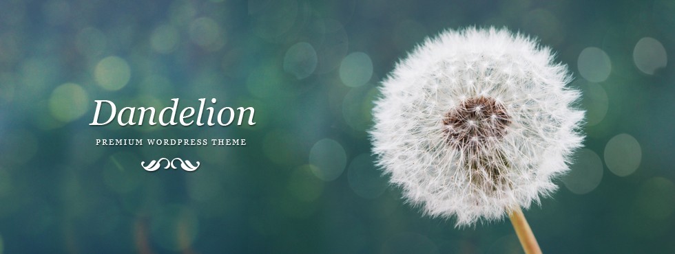 13311439880-2rkwjh9xc0utv257fojaiy