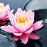 a3-2rkwuyerlmgwhe3g3c2oei