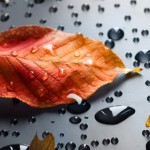 a4-2rkwv063dpxje2jnhgnuve