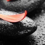 a5-2rkwv26guegjuuhlnbmcju